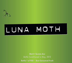 luna_moth